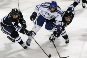 开云kaiyun-CBA赛场再掀中国篮球风暴，cba比赛篮球