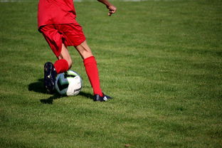 CBA球队完善伤病防护体系保障运动员健康和职业生涯，cba球员伤情报告